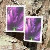 Purple Tulips U.S.A, 2023 Postage Stamp Earrings