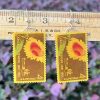 Sunflower, U.S.A., 1961 Postage Stamp Earrings
